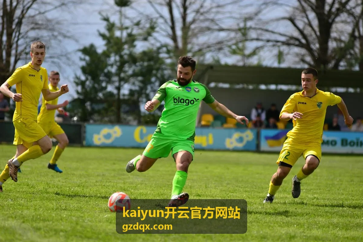 kaiyun开云官方网站入口辨认封面图